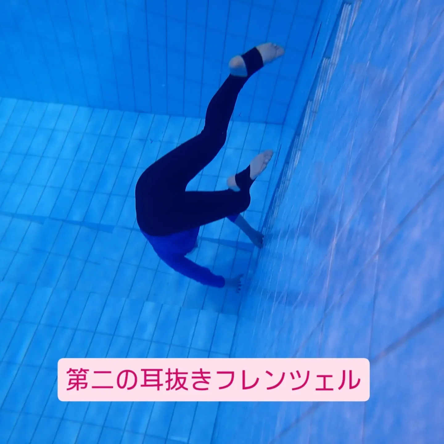 夏の訪れを感じながら、ダイビングのシーズンインへと突入します...