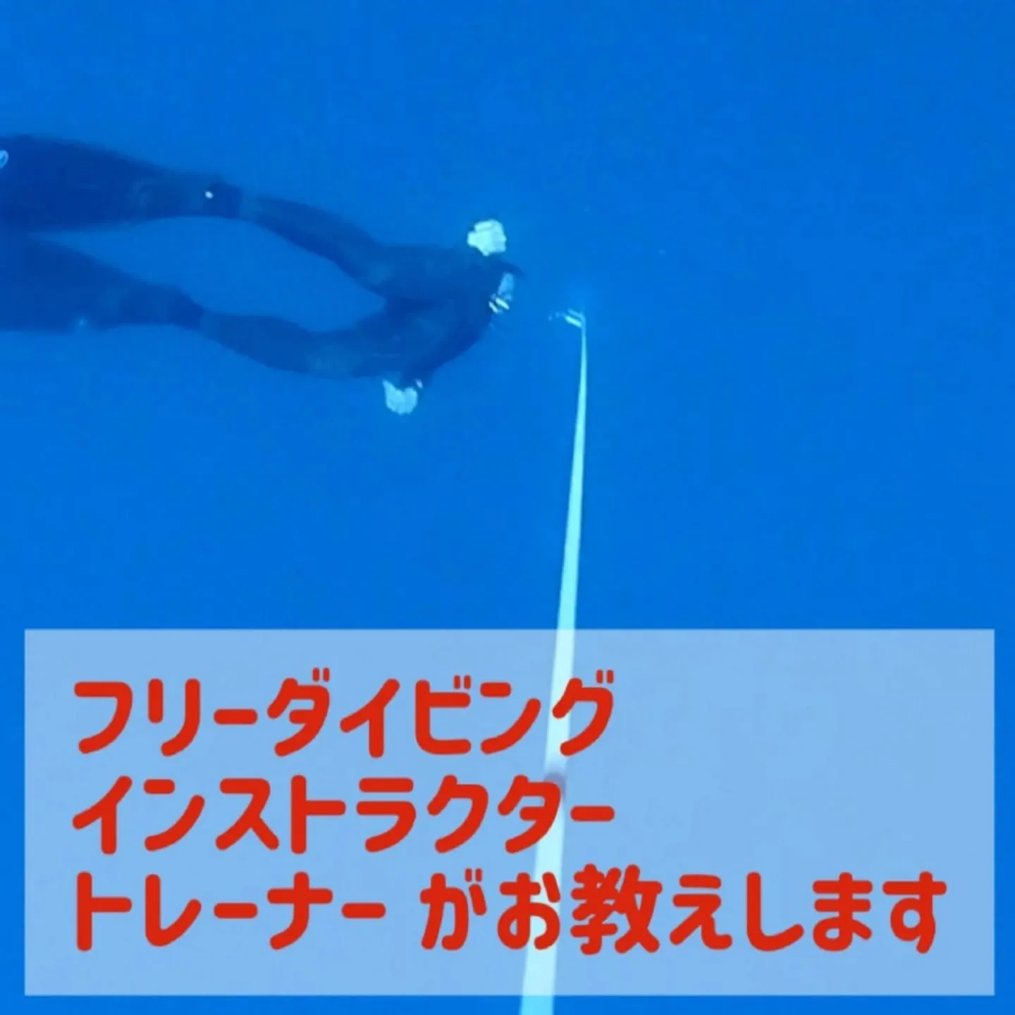 フリーダイビング海洋練習