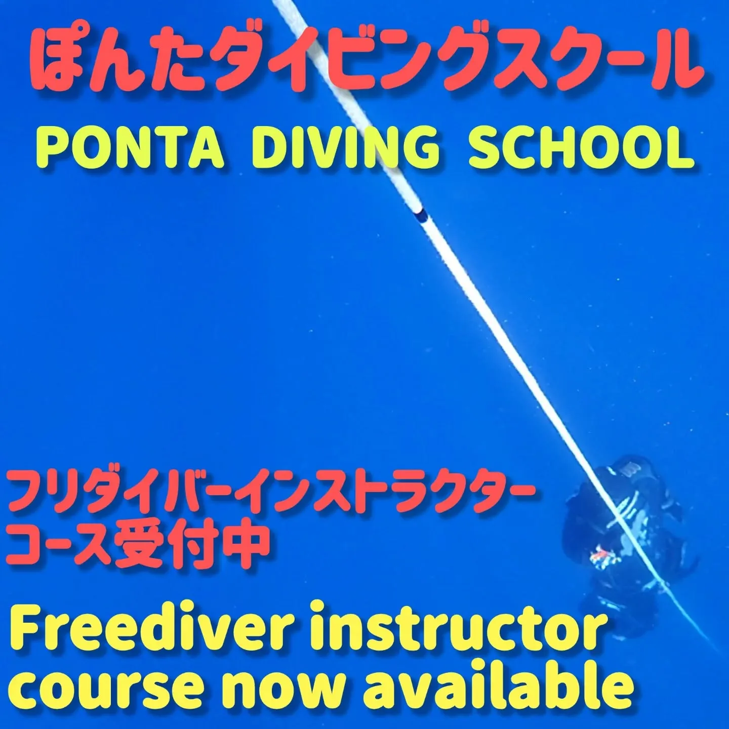 https://ponta-freediving.com/