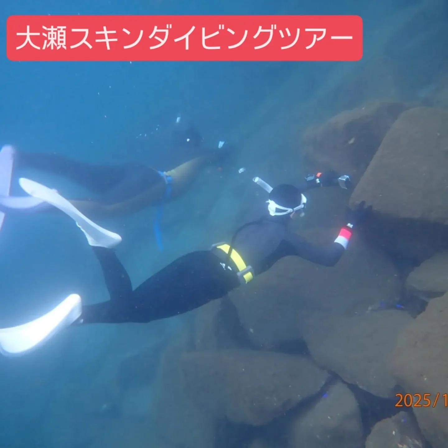 大瀬スキンダイビングツアー