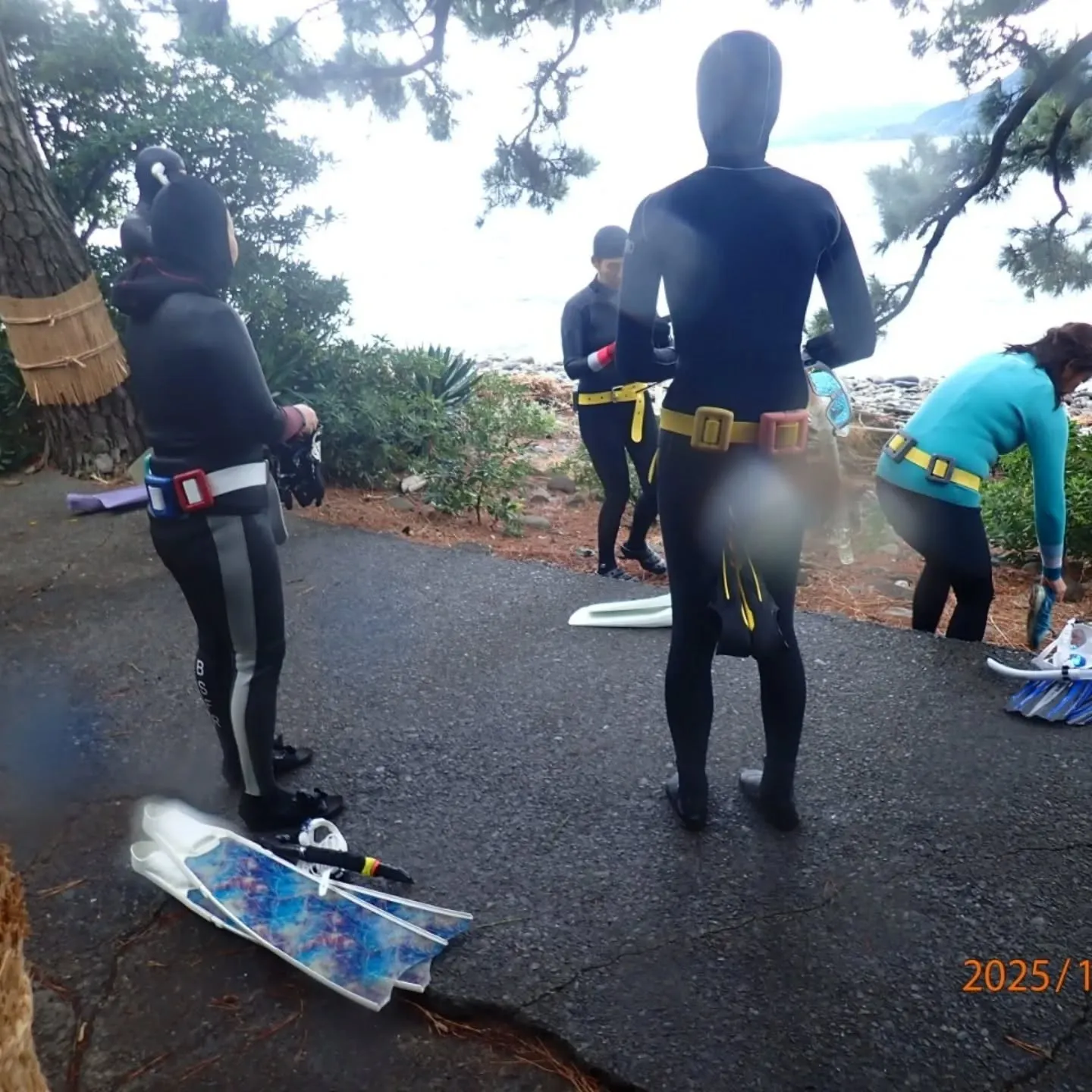 大瀬スキンダイビングツアー