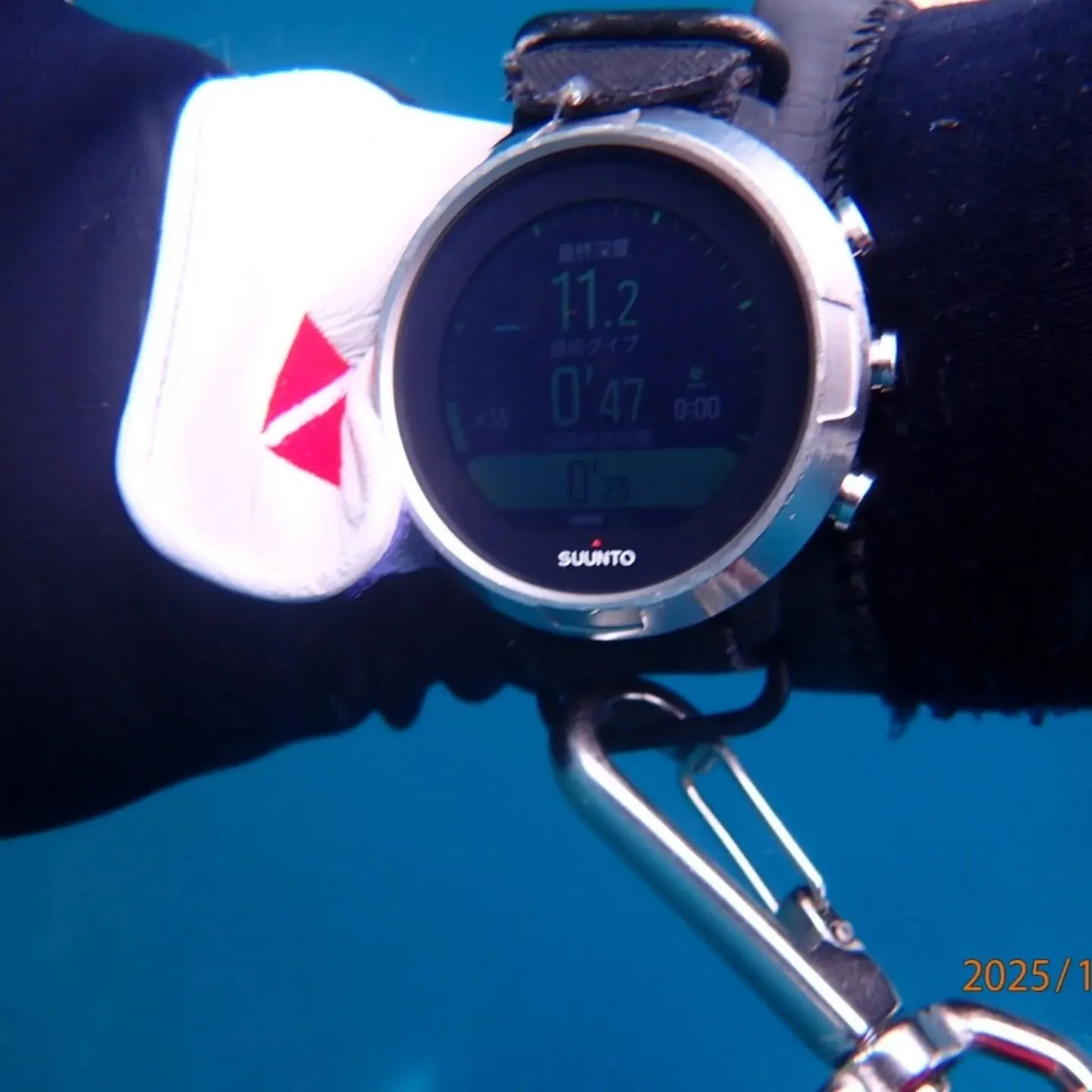 大瀬スキンダイビングツアー