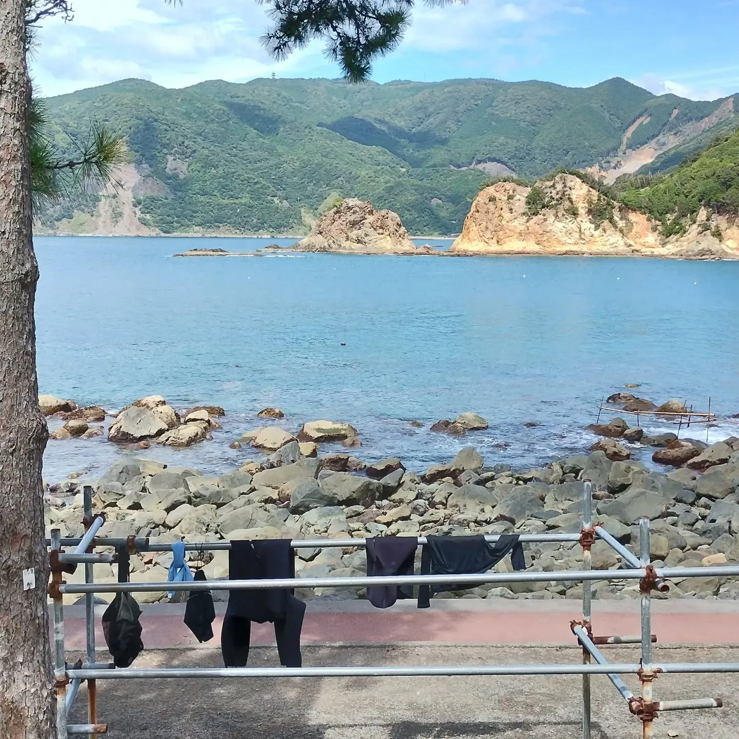今日の伊豆スキンダイビングツアーは、伊豆海洋公園が荒れていそ...