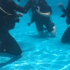 メニュー