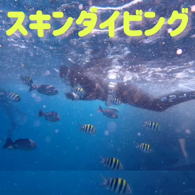 ぽんたダイビングスクール