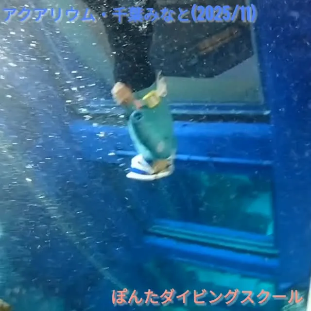 アクアリウムスキンダイビング