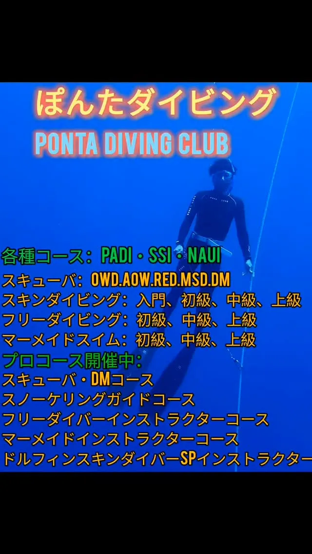 ぽんたダイビングクラブ
