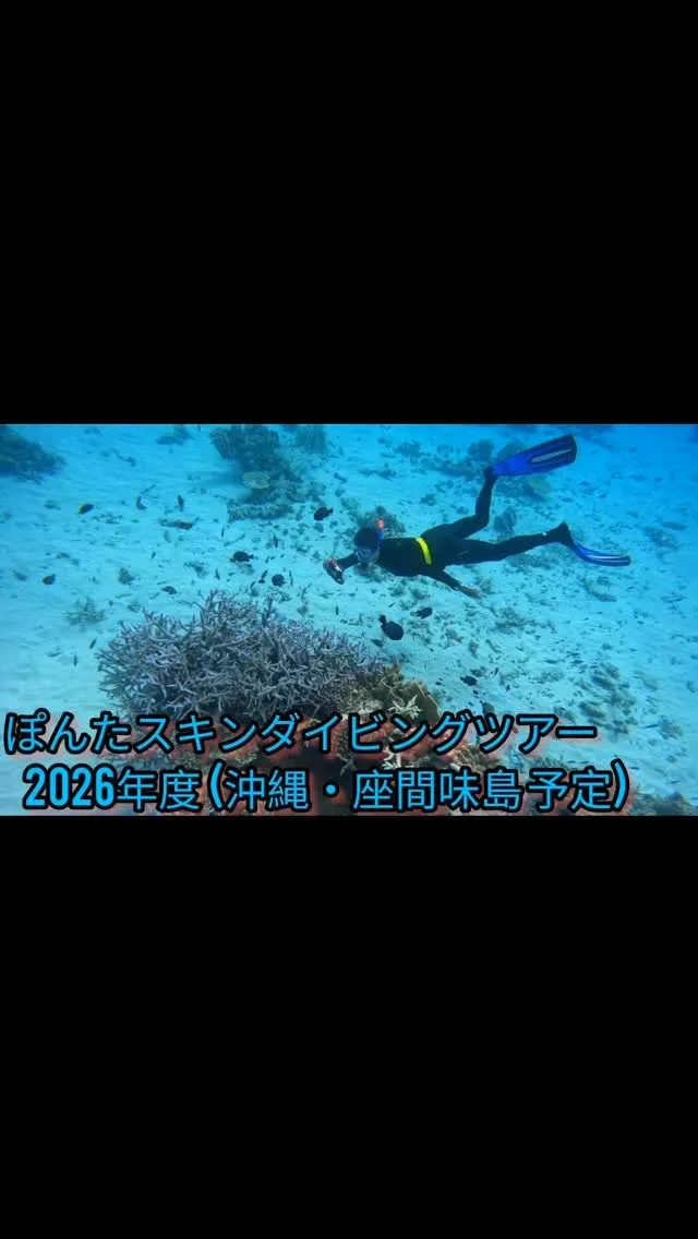 2026/05/27水夜東京出発-05/28木〜沖縄・座間味...