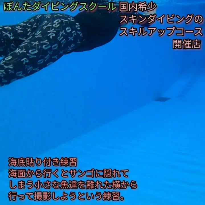 全素潜りプロコース開催店。