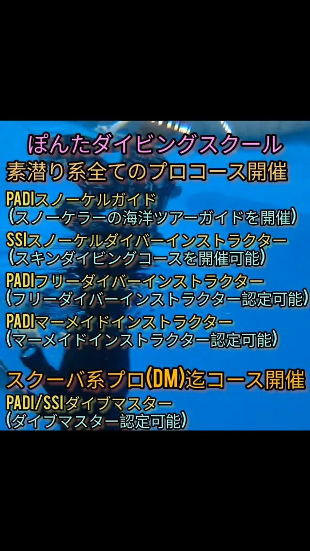 海系プロコースまで開催店。