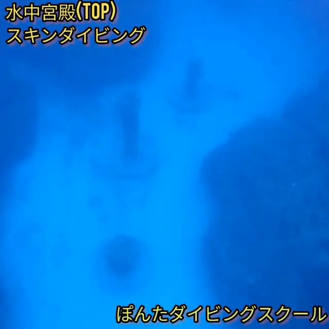 素潜り各種インストラクターコースも開催中 #スキンダイビング...