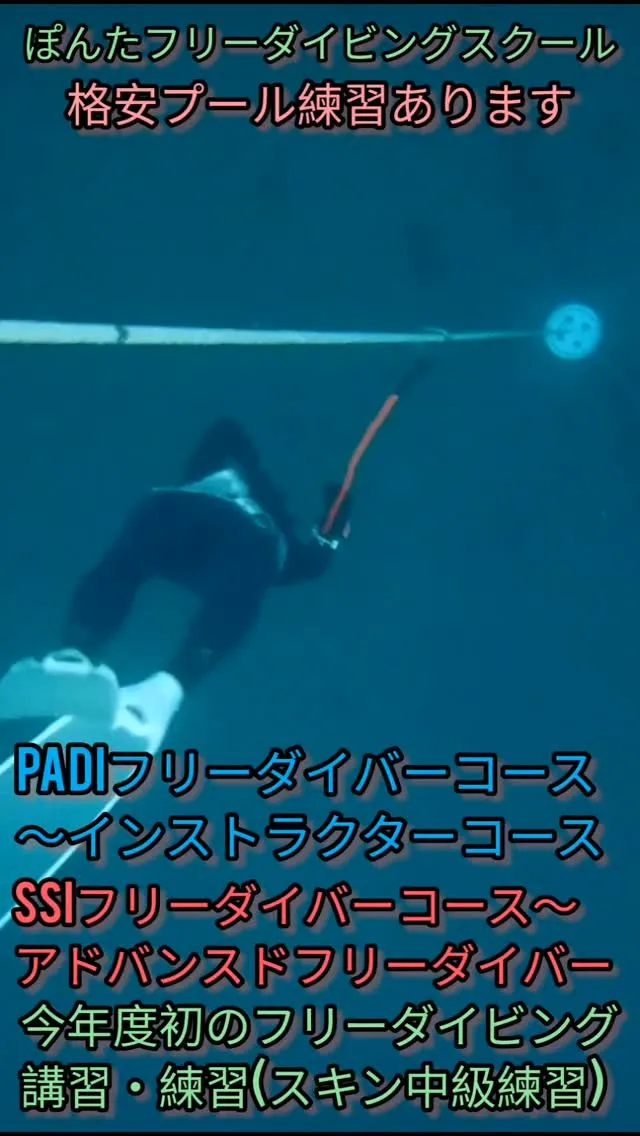 今年度フリーダイビング(海洋)開始。
